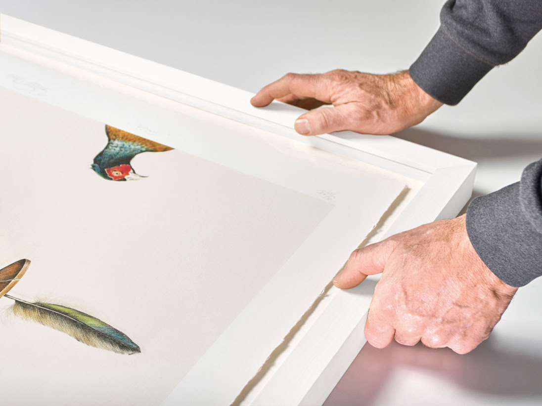 Hände, die einen gerahmten Druck mit bunten Federn und einem Vogel halten.